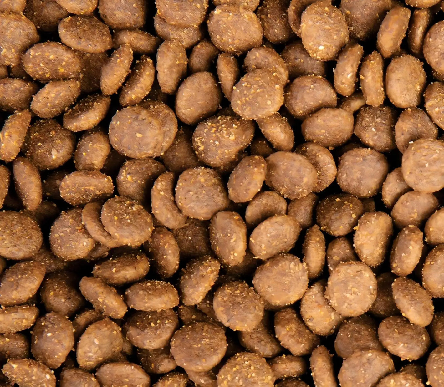 2025 Best Selling High-Protein Grain-Free Natural Ingredients Vitamins Minerals All Breeds 10Kg Dry Cat Food Wholesale Factory
