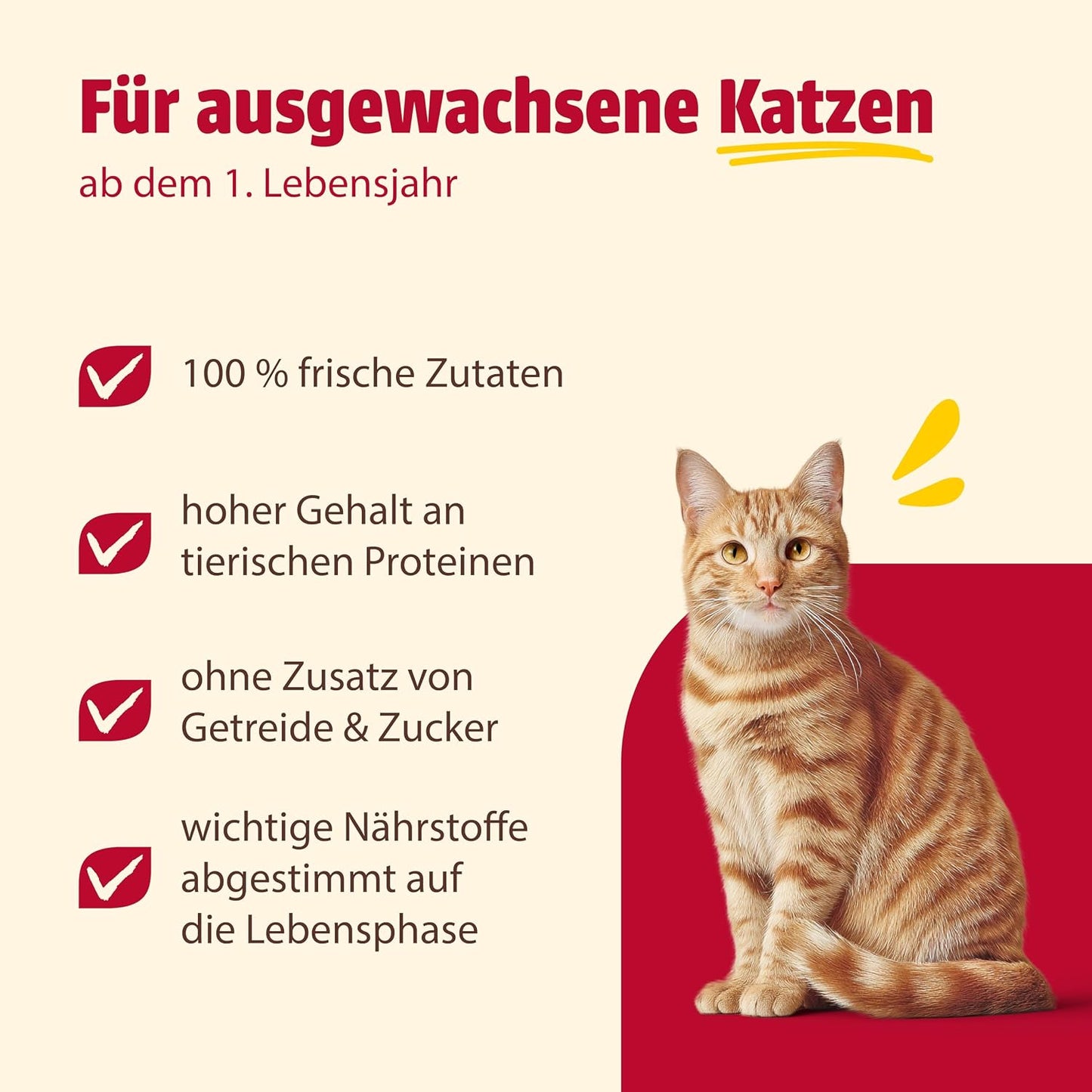 Animonda Carny Adult Katzen Nassfutter Rind + Huhn (6 X 400G) | Hochwertiges Katzen Nassfutter Mit 100 % Frischen, Fleischlichen Zutaten, Katzenfutter Ohne Getreide Und Zucker