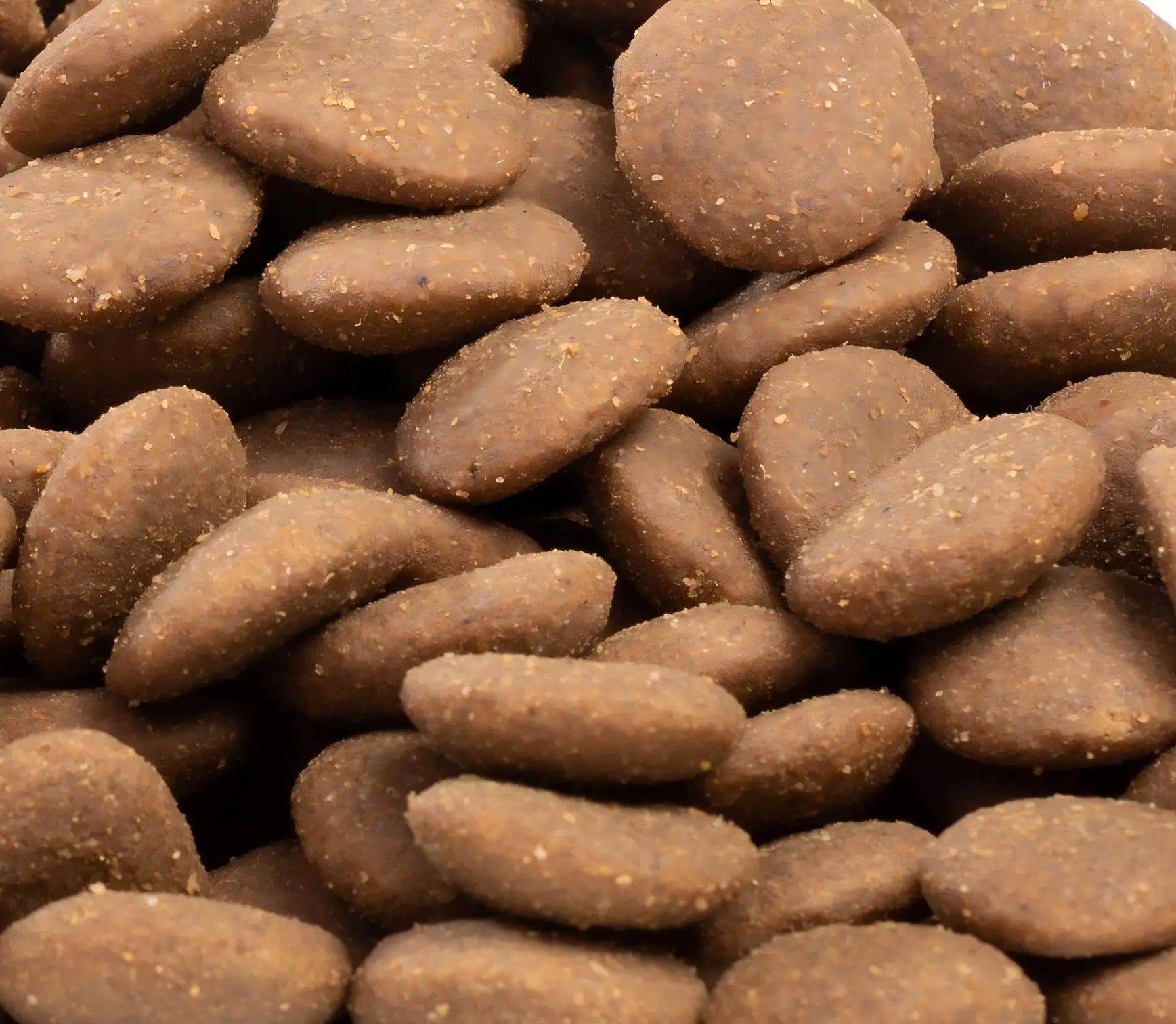 2025 Best Selling High-Protein Grain-Free Natural Ingredients Vitamins Minerals All Breeds 10Kg Dry Cat Food Wholesale Factory