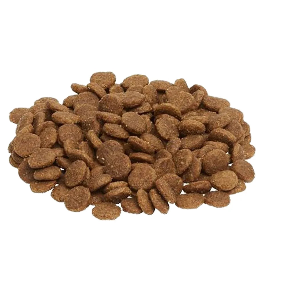 2025 Best Selling High-Protein Grain-Free Natural Ingredients Vitamins Minerals All Breeds 10Kg Dry Cat Food Wholesale Factory