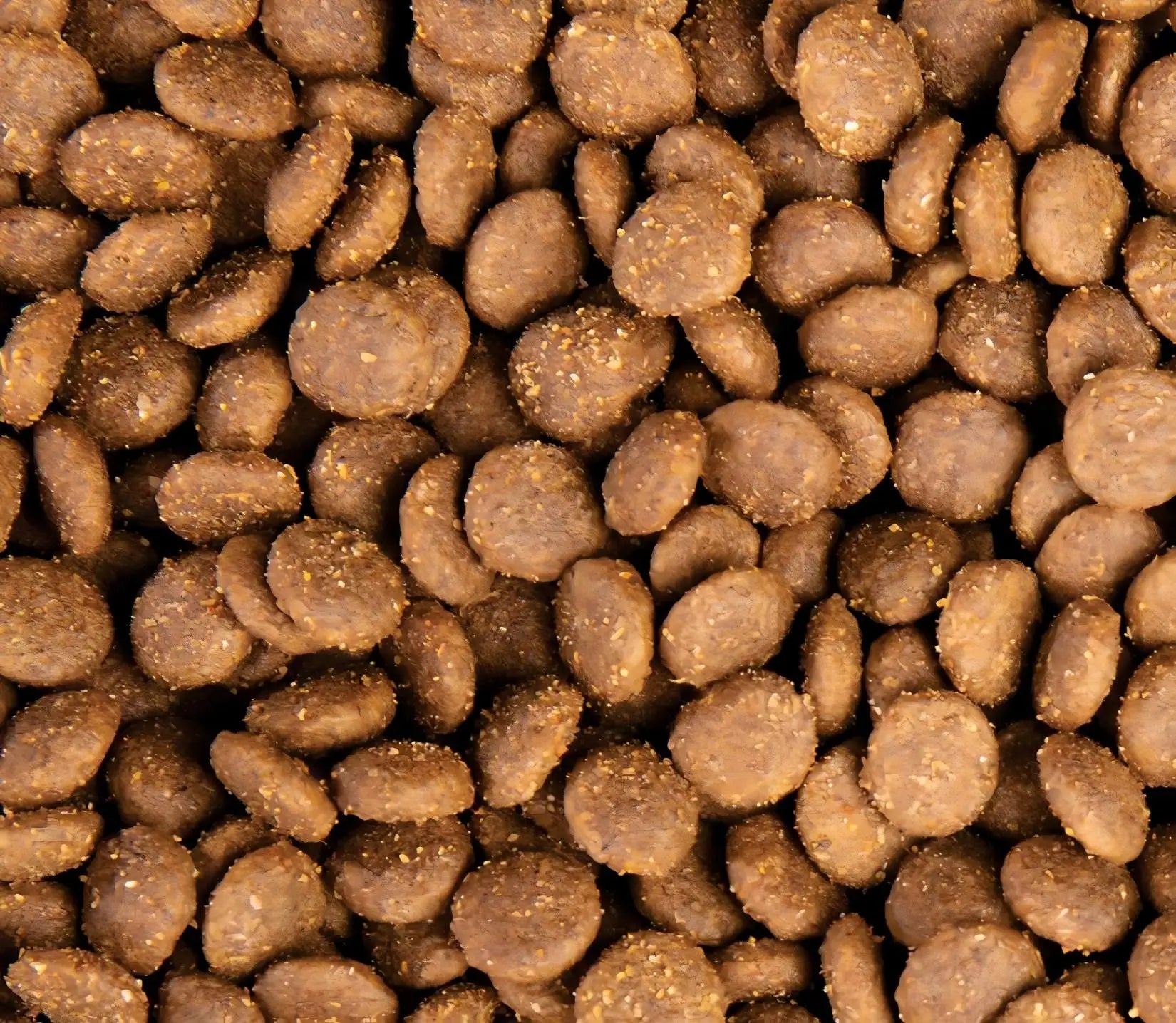 2025 Best Selling High-Protein Grain-Free Natural Ingredients Vitamins Minerals All Breeds 10Kg Dry Cat Food Wholesale Factory