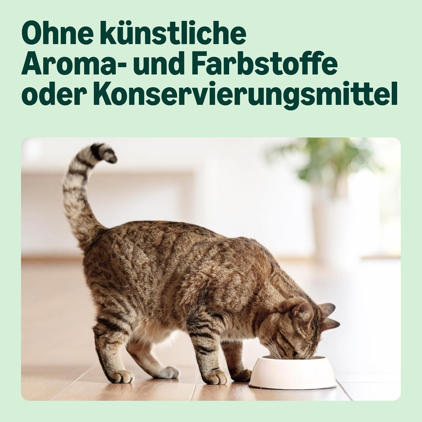 By Amazon – Vollwertiges Katzentrockenfutter Für Ausgewachsene Katzen Mit Thunfisch Und Hering, 1 Packung À 10,0Kg (Zuvor Our Essentials)