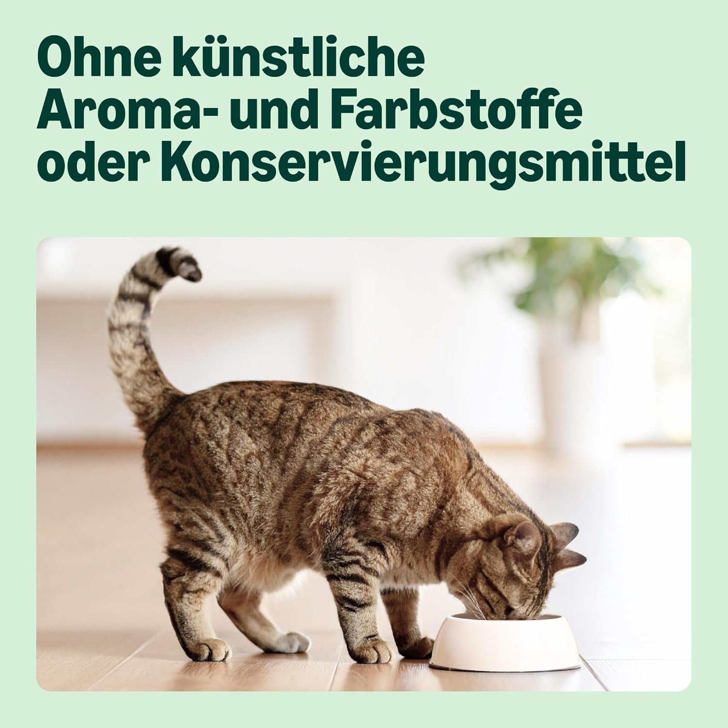 By Amazon – Vollwertiges Katzentrockenfutter Für Ausgewachsene Katzen Mit Thunfisch Und Hering, 1 Packung À 10,0Kg (Zuvor Our Essentials)